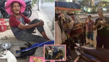 Cảm động chuyện cụ bà nghèo khổ cưu mang các bé mèo bị bỏ rơi, chấp nhận nhịn ăn để chúng được no: “Chỉ cần các con mạnh khỏe là tôi vui rồi”