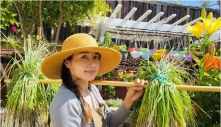 Nhớ quê da diết, nữ Việt kiều chi 500 triệu tự xây khu vườn đẹp như tranh, mỗi ngày dành 5 tiếng chăm bón