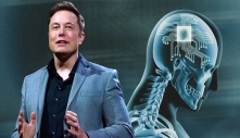 Công ty của Elon Musk được cấp phép cấy chip não ở người