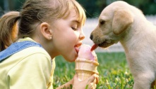 Việt Nam và Mỹ qua con mắt của nhà văn Quang Thiều: 'Cười bật ngửa' với sự so sánh thú vị này