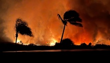 Nhân chứng kể khoảnh khắc 'bão lửa' càn quét thị trấn Hawaii
