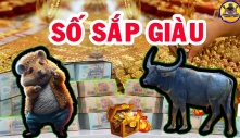 Nghèo thế đủ rồi: 4 tuổi gia cảnh nghèo khó, tuổi trẻ vất vả, về già cá Chép hoá Rồng