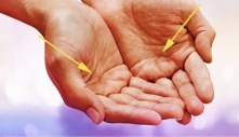 Các cụ xưa nói: '5 ngón không lộ, phú quý không đi', 5 ngón ở đây là gì?