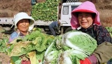 Du học sinh Việt sang Hàn Quốc làm nghề “lạ“ kiếm gần 2 triệu/ngày, vất vả đến mức ngất xỉu nhưng “cái được“ không thể đong đếm bằng tiền