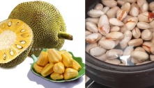 Hạt mít hay bị người Việt vứt bỏ thì ở Nhật bán 200.000/kg, hóa ra hạt mít có những công dụng tuyệt vời