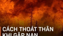 Cách bạn chạy trốn để thoát thân trong 6 tình huống nguy hiểm nhất nếu xảy ra