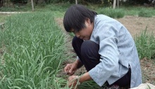 Bà ‘triệu phú nông dân gốc Việt trên xứ Mỹ