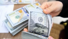 Nữ Việt kiều vướng lao lý vì xách 3 valy tiền mặt qua sân bay