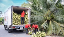 Mỹ tăng nhập rau quả Việt trong quý I