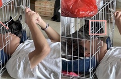 Con Sen chui thẳng vào chuồng Boss nằm tâm sự, phản ứng của chú chó gây sốt: “Ai đó lôi nó ra dùm tui được không?”