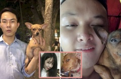 Cười rơi mồm trước tướng phu thê của boss và sen, đáng yêu hết phần thiên hạ: “Phải thân thiết lắm mới thế”