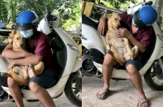 Thanh niên chó gặp người lạ không sủa mà còn ôm ấp, con Sen bất lực: “Nuôi nó chi vậy chời”