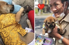 Mặc dù theo chủ vất vả mưu sinh, chó cưng vẫn được cưng chiều không khác gì con ruột: “Quần áo lụa là, như 1 công chúa”