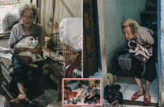 Nể phục cụ bà U90 cưu mang hàng trăm chó mèo, trạm cứu hộ ngỏ ý nhận bớt mà vẫn không cho: “Tui coi tụi nó như con sao bỏ được”