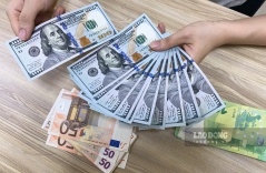 Tỷ giá USD chợ đen hôm nay 24.8: USD giá vẫn rất cao