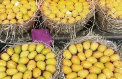 Một loại quả của Việt Nam khiến cựu Đại sứ Hoa Kỳ cũng phải xuýt xoa khen ngợi 'ngon nhất thế giới': Trung Quốc, Hàn Quốc cực mê mẩn, xuất khẩu hàng trăm triệu USD