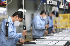 Những mảnh đời quanh tôi tại Mỹ