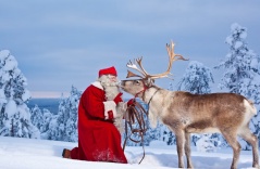 Làm việc ở quê hương ông già Noel
