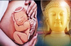 Vì sao đứa trẻ lại muốn đầu thai vào nhà bạn! Dù có con hay không bạn cũng nên đọc