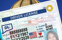 REAL ID – GIẤY TỜ ĐỊNH DANH TIÊU CHUẨN LIÊN BANG TẠI MỸ, BẮT BUỘC TỪ 07/5/2025