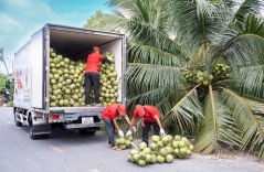 Mỹ tăng nhập rau quả Việt trong quý I
