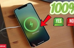 Sạc đầy 100% có gây hại cho pin điện thoại? Chuyên gia trả lời!