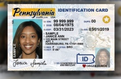REAL ID là gì, vì sao người Mỹ buộc phải xuất trình khi đi máy bay?