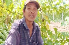 Triệu phú nông dân “ẩn thân” trên đất Mỹ