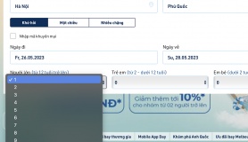 Lý do mỗi lần chỉ đặt được tối đa 9 vé máy bay