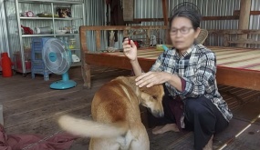 Chú chó nổi tiếng khắp miền Tây vì nói được tiếng người