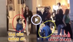 Chú chó bị sen phạt đòn vì chạy theo cô gái xinh đẹp để xin ăn