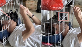 Con Sen chui thẳng vào chuồng Boss nằm tâm sự, phản ứng của chú chó gây sốt: “Ai đó lôi nó ra dùm tui được không?”