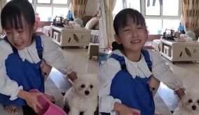 Cô bé cầm dép hỏi tội cún cưng vì dám cắn xé bài kiểm tra, đòi giao nộp 'tội đồ' cho cô giáo