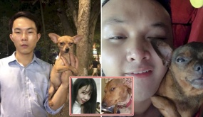 Cười rơi mồm trước tướng phu thê của boss và sen, đáng yêu hết phần thiên hạ: “Phải thân thiết lắm mới thế”