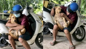 Thanh niên chó gặp người lạ không sủa mà còn ôm ấp, con Sen bất lực: “Nuôi nó chi vậy chời”
