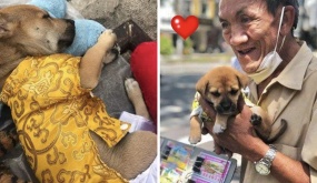 Mặc dù theo chủ vất vả mưu sinh, chó cưng vẫn được cưng chiều không khác gì con ruột: “Quần áo lụa là, như 1 công chúa”