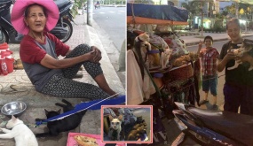 Cảm động chuyện cụ bà nghèo khổ cưu mang các bé mèo bị bỏ rơi, chấp nhận nhịn ăn để chúng được no: “Chỉ cần các con mạnh khỏe là tôi vui rồi”