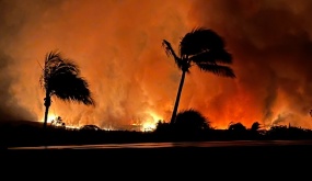 Nhân chứng kể khoảnh khắc 'bão lửa' càn quét thị trấn Hawaii
