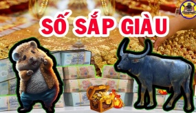 Nghèo thế đủ rồi: 4 tuổi gia cảnh nghèo khó, tuổi trẻ vất vả, về già cá Chép hoá Rồng