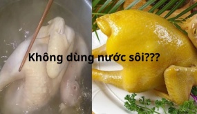 Cách luộc mọi loại thịt gà, ngan, vịt, lợn dùng nước ấm không nước sôi, đảm bảo không rách da, ngọt mềm đều đẹp