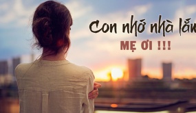 Để đổi lấy chén cơm trời Tây: Tôi đã bán sức, bán tuổi thanh xuân của mình ở nơi xứ người