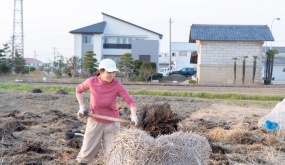 Người phụ nữ Việt chăm chỉ làm ruộng với nông trại 50ha được báo Nhật ca ngợi