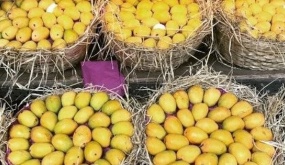 Một loại quả của Việt Nam khiến cựu Đại sứ Hoa Kỳ cũng phải xuýt xoa khen ngợi 'ngon nhất thế giới': Trung Quốc, Hàn Quốc cực mê mẩn, xuất khẩu hàng trăm triệu USD
