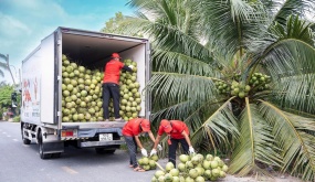 Mỹ tăng nhập rau quả Việt trong quý I