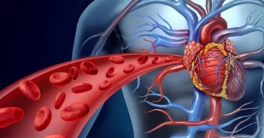 Cảnh báo thủ phạm đáng sợ có thể khiến bạn tử vong trong tích tắc khi đi máy bay đường dài Cảnh báo thủ phạm đáng sợ có thể khiến bạn tử vong trong tích tắc khi đi máy bay đường dài