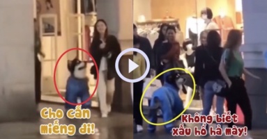 Chú chó bị sen phạt đòn vì chạy theo cô gái xinh đẹp để xin ăn Chú chó bị sen phạt đòn vì chạy theo cô gái xinh đẹp để xin ăn