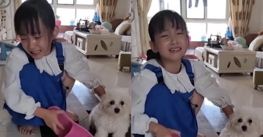 Cô bé cầm dép hỏi tội cún cưng vì dám cắn xé bài kiểm tra, đòi giao nộp 'tội đồ' cho cô giáo Cô bé cầm dép hỏi tội cún cưng vì dám cắn xé bài kiểm tra, đòi giao nộp 'tội đồ' cho cô giáo