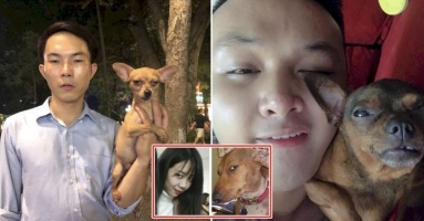Cười rơi mồm trước tướng phu thê của boss và sen, đáng yêu hết phần thiên hạ: “Phải thân thiết lắm mới thế”