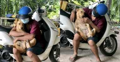 Thanh niên chó gặp người lạ không sủa mà còn ôm ấp, con Sen bất lực: “Nuôi nó chi vậy chời”