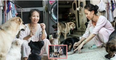 5 năm cưu mang những bé chó bệnh tật, người phụ nữ U60 đã cạn kiệt nước mắt: “Dù không khóc nhưng tim tôi thắt lại khi nhớ về các con đã mất”